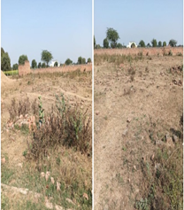 RAHMAT AGRO COMPANY-180920252